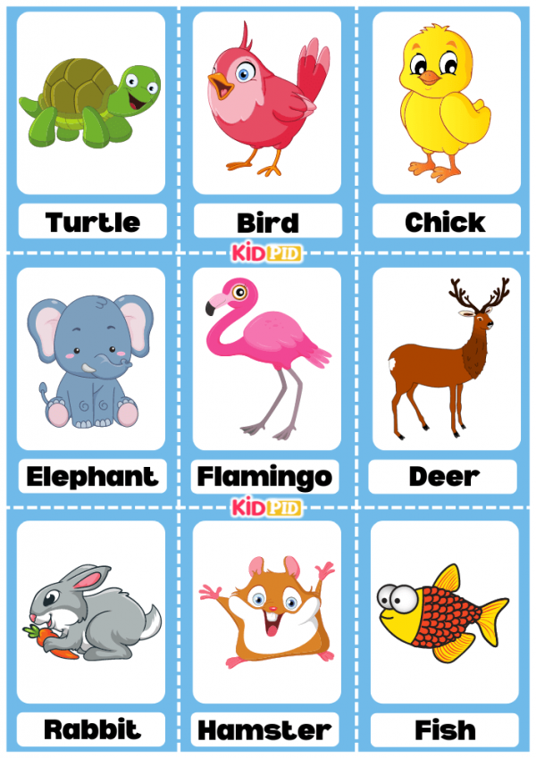 Animals Name Flashcard Sheets