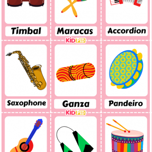 Cultural Musical Instruments