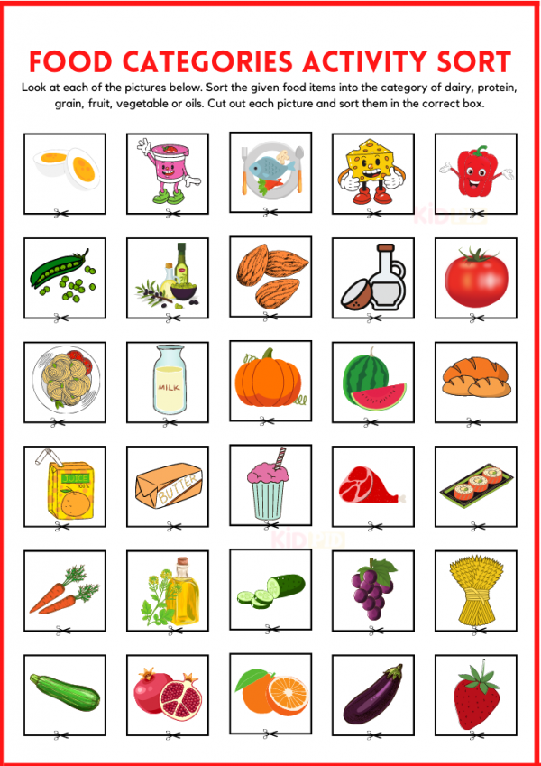 Food Categories Activity Sorting Printable Worksheets
