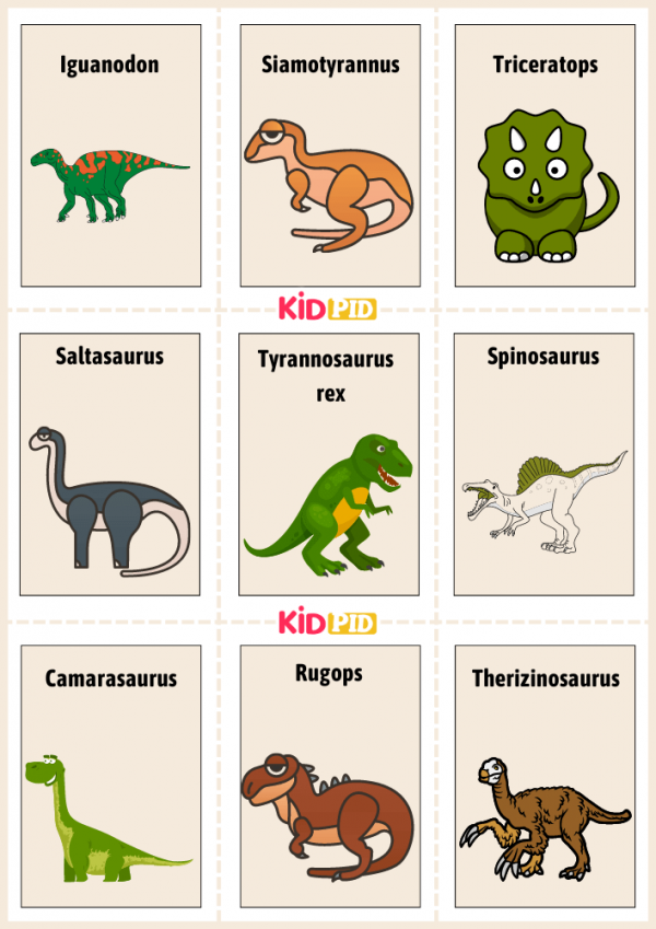 Fossil Grey Set of Dinosaur Flashcards