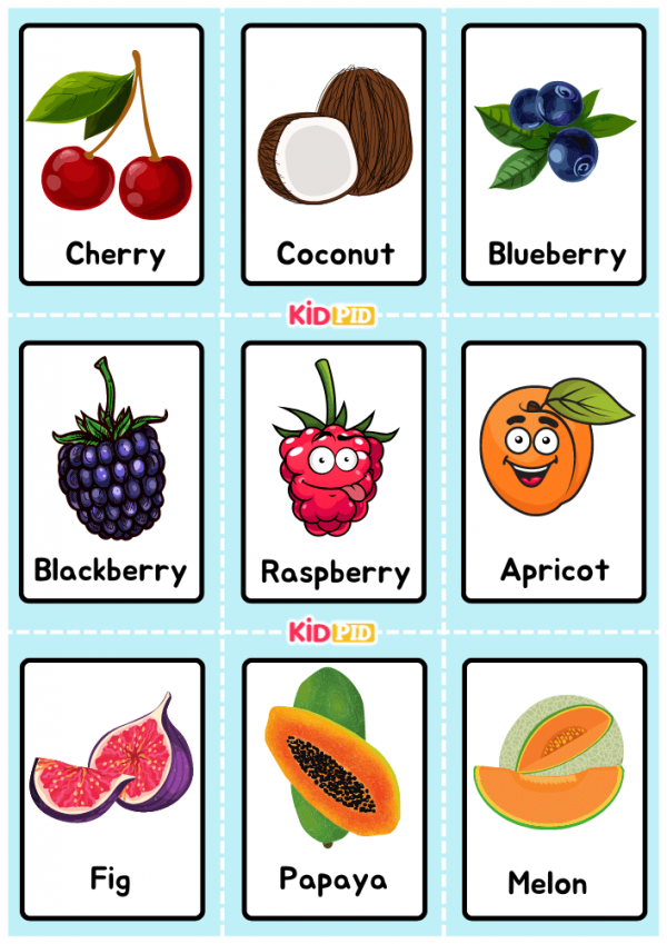Fruits Colorful Handdrawn Flashcard Sheets