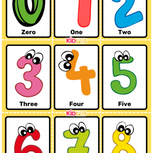 Number Flashcard Sheets