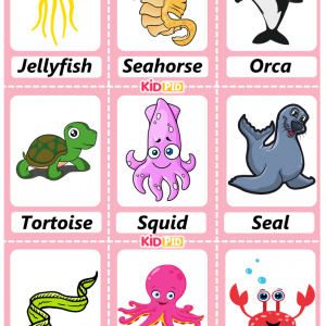 Sea Creatures Handdrawn Flashcard Sheets