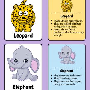 Animal Flashcards for Toddlers