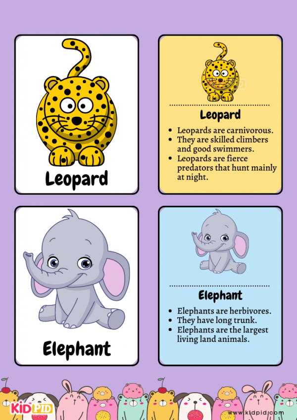 Animal Flashcards for Toddlers