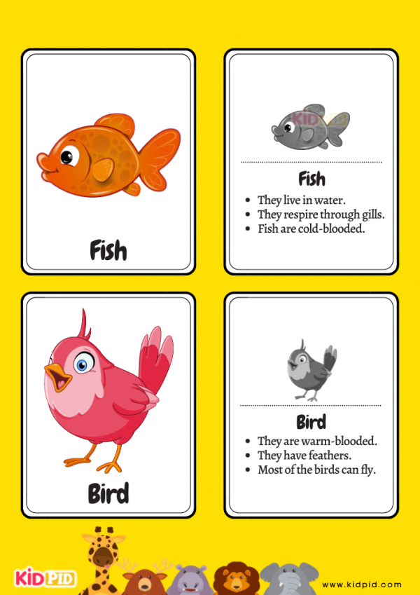 Animals Flashcards for Kids