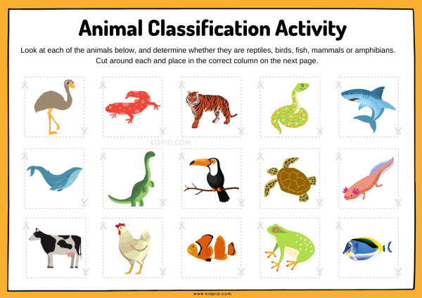 Animal Classification Sorting Worksheet