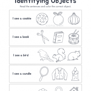 Identifying Objects & Coloring Worksheets for Kids
