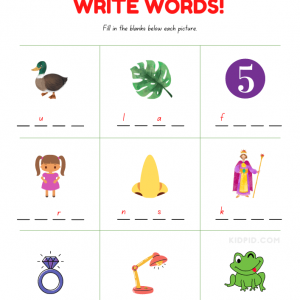 Write 4 Letter Words Worksheet for Grade 1