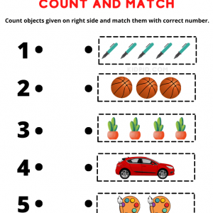 Count and Match Worksheets for Kindergarten