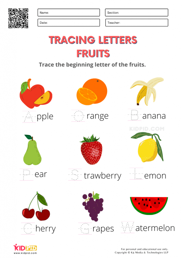 Fruits and Vegetables / FREE Printable Worksheets for Kindergarten