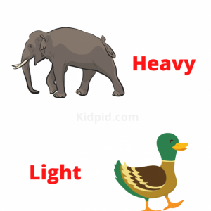 Heavy or Light: Measuring Weight Worksheets