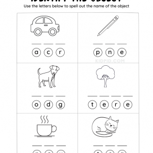 Identify the object Worksheet for Kindergarten