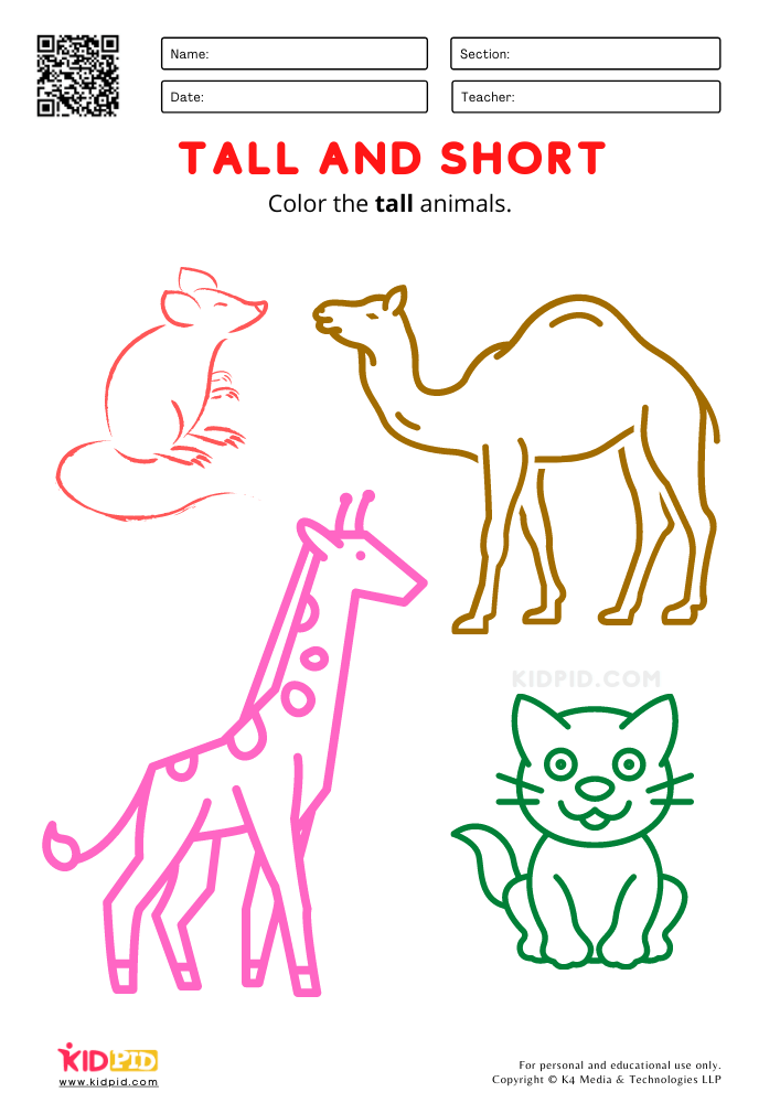 Tall & Short Worksheets for Preschool - Free Printables - Kidpid