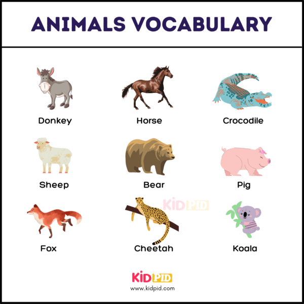 Animals Name With Pictures - 2