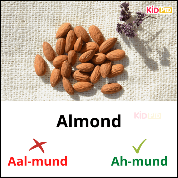 Almond-English Pronunciation Practice