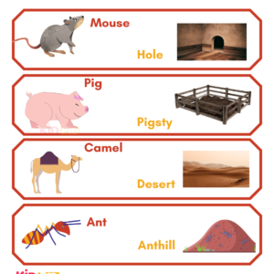Animal Habitats - 1
