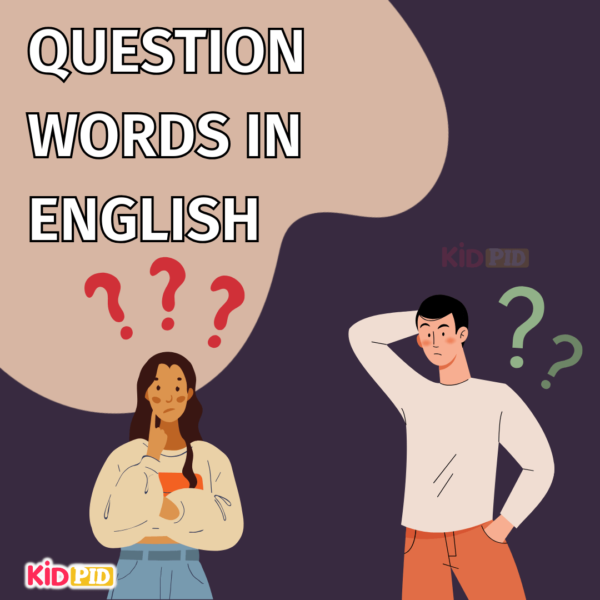 Question Words in English Meaning and Uses