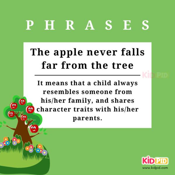 The Apple never falls Far From tree - English Phrases