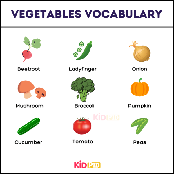 Vegetables Name With Pictures - 2