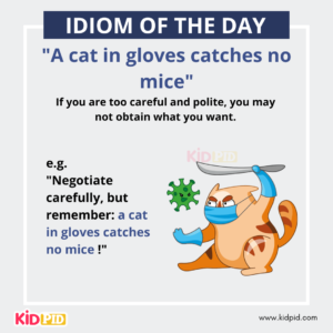 A cat in gloves catches no mice - English Idiom Meaning & Examples