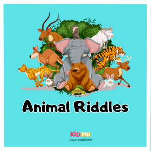 Animal Riddles - Book Cover