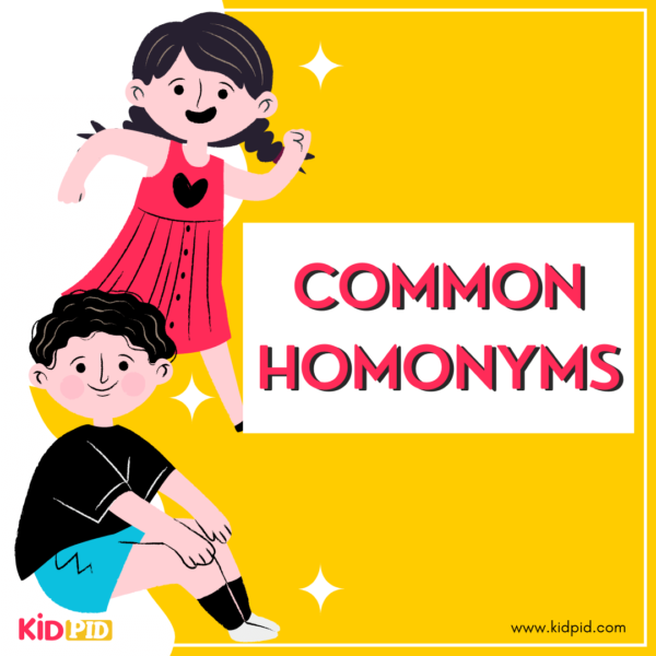 Common Homonyms Words - Book Cover