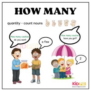 How Many - Question Words In English