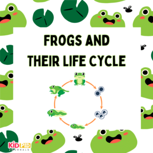 Frogs and Their Life Cycle