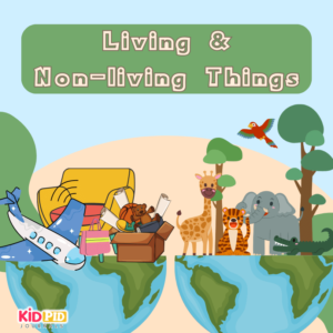 Living & Non-living Things - 1