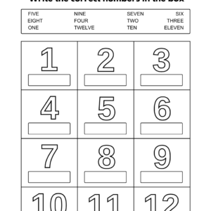 Numbers Vocabulary Worksheet