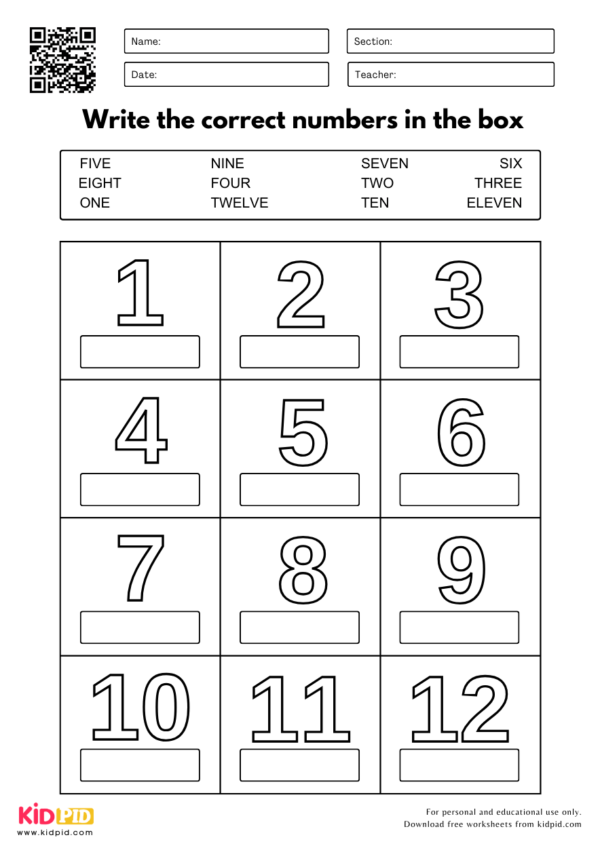 Numbers Vocabulary Worksheet