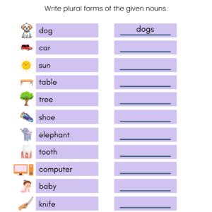 Write Plural Forms - Noun English Worksheet