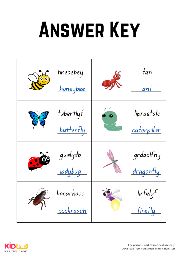 Jumbled Insects Words Worksheet for Grade 1 - Kidpid
