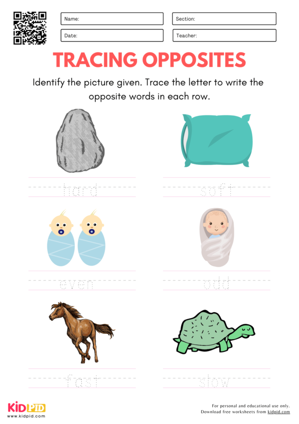 Tracing Opposite Words Worksheets for Kindergarten