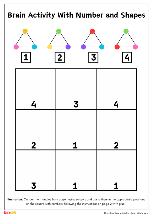 Brain Activity With Number and Shapes