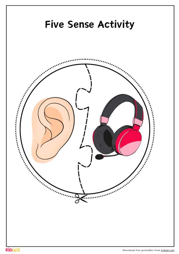 Five Sense Puzzle Template Activity