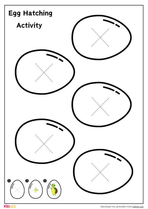 Oviparous Animals Peeling the Eggs - Early Childhood Education Template