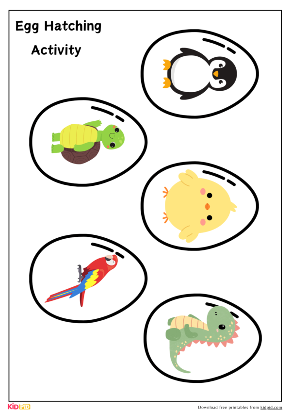 Oviparous Animals Peeling the Eggs - Early Childhood Education Template