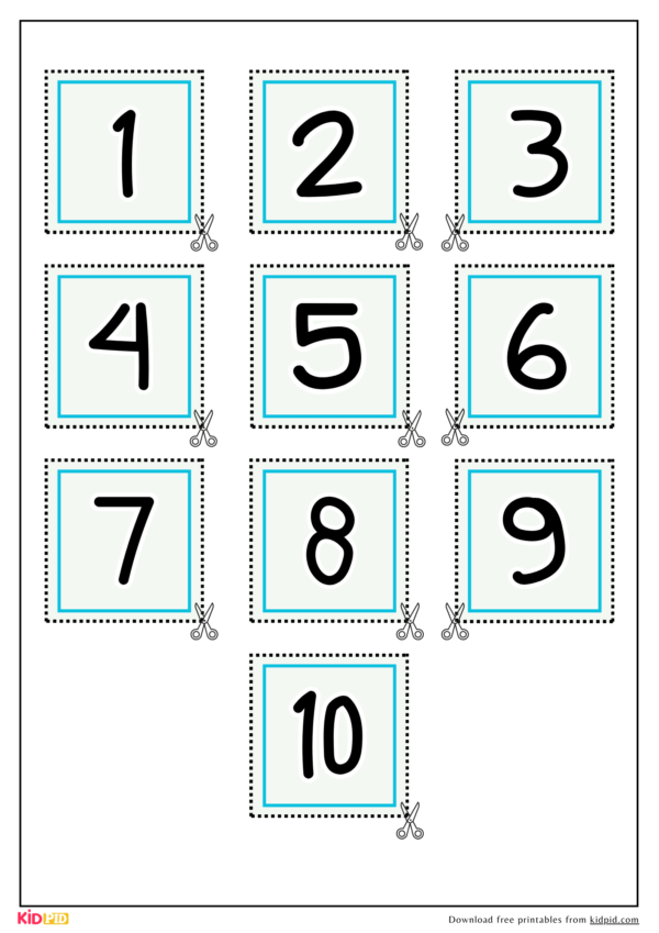 Turtle Addition Math Template Activity