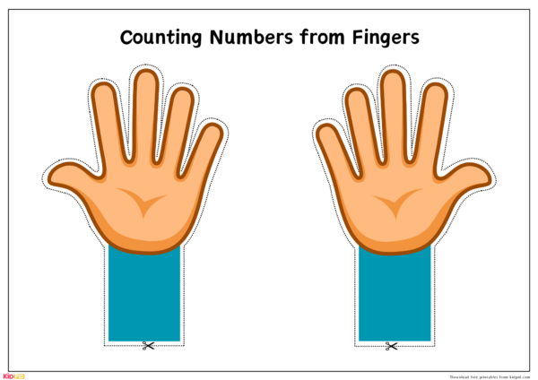 Counting Hands Number Learning Activity for Preschool