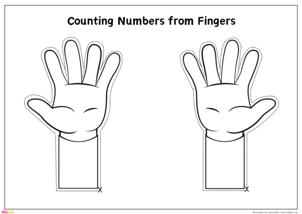 Counting Hands Number Learning Activity for Preschool