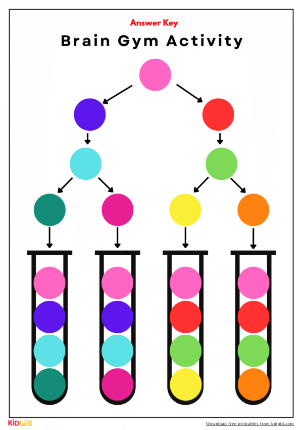 Color Coordination Brain Gym Activity