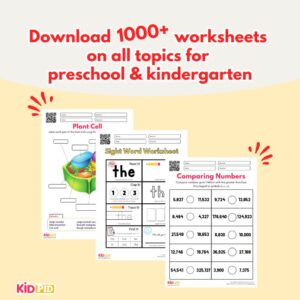 Preschool & Kindergarten Worksheet Bundle