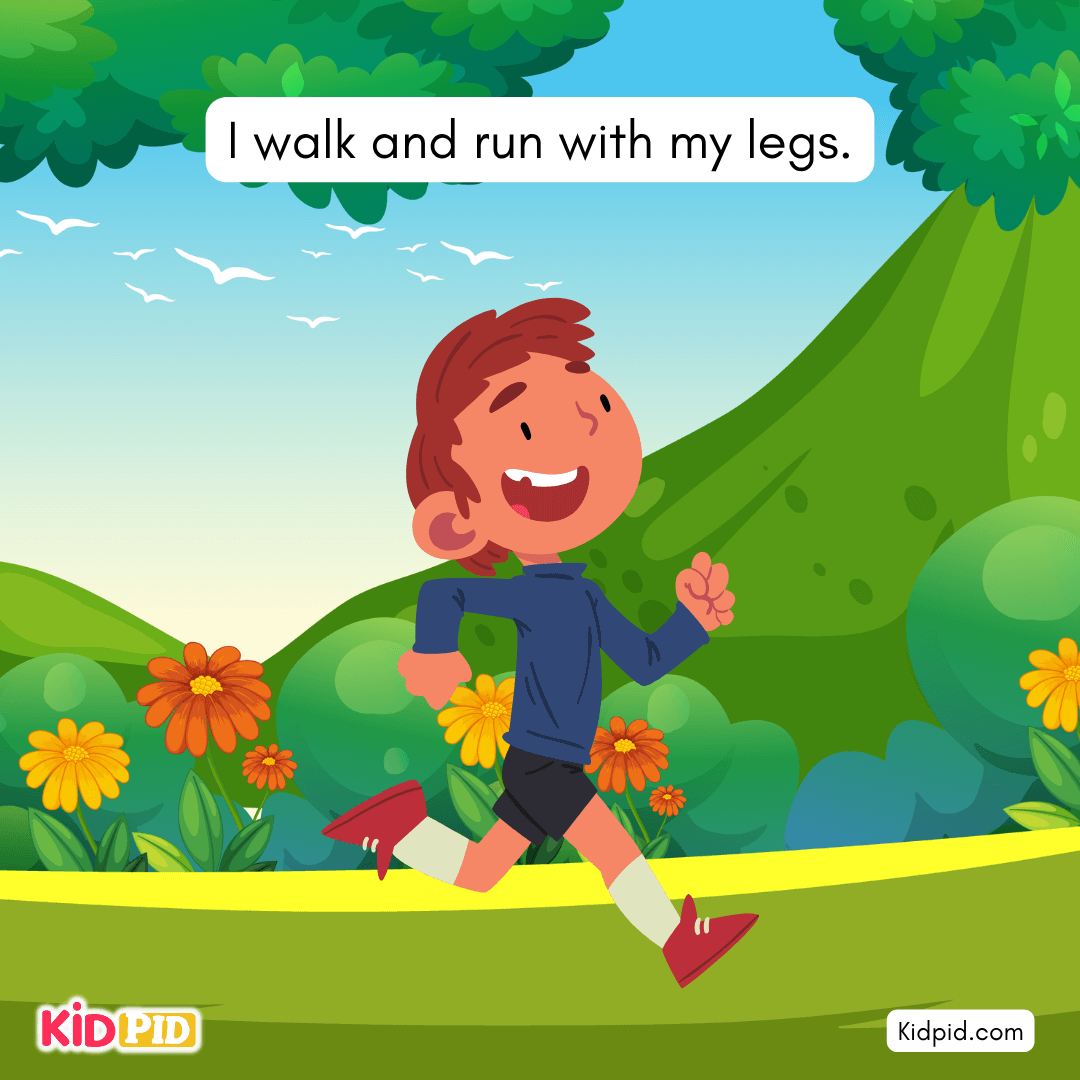 Learn the Parts of the Body - THE LEG