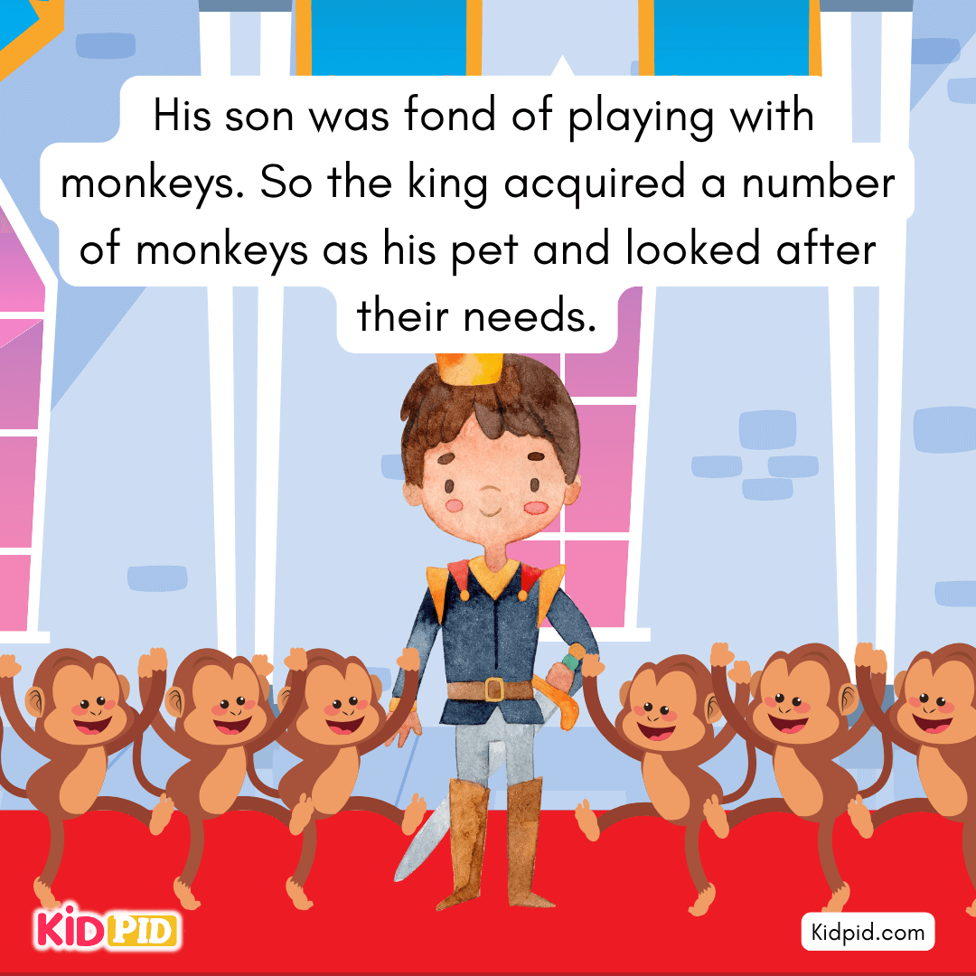 The Monkey's Revenge