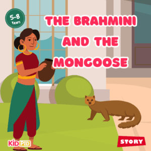 The Brahmini and the Mongoose – Moral Story for Kids
