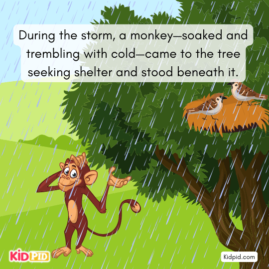 The Weaver Bird’s Nest - Moral Story for Kids