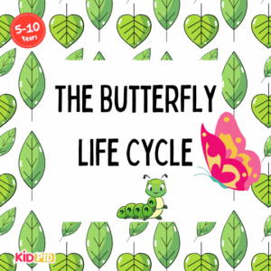 The Butterfly Life Cycle - Science Journal for Kids