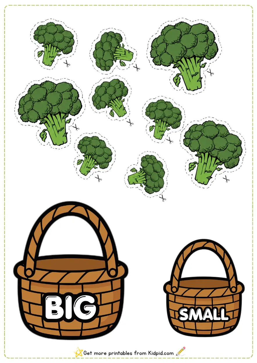 Big and Small Sorting Activity Worksheets for Children